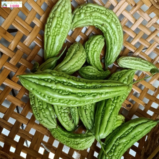 RAU ĐỒNG - MƯỚP ĐẮNG 