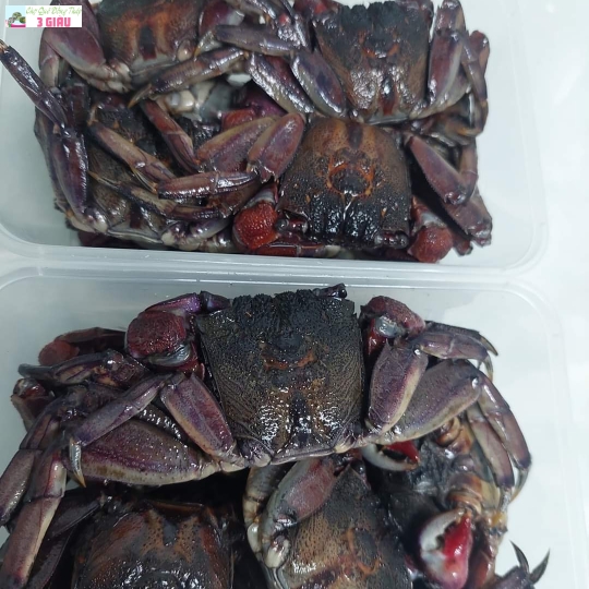 Ba khía muối / hũ