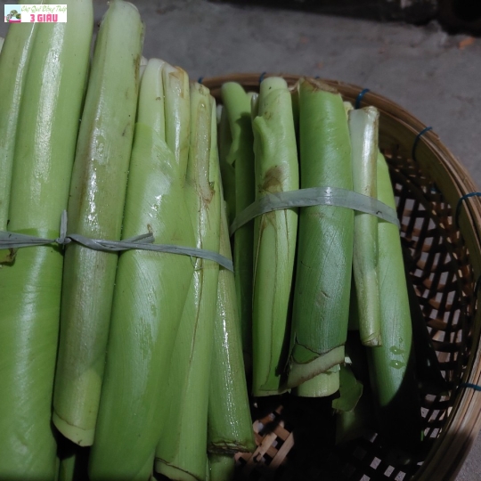 LỤC BÌNH/BÓ