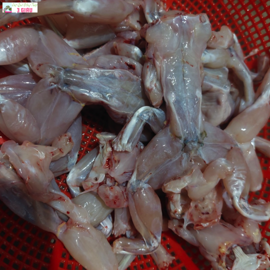 ẾCH ĐỒNG /KG