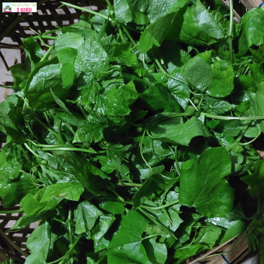 ĐỌT NHÃN LÒNG /KG