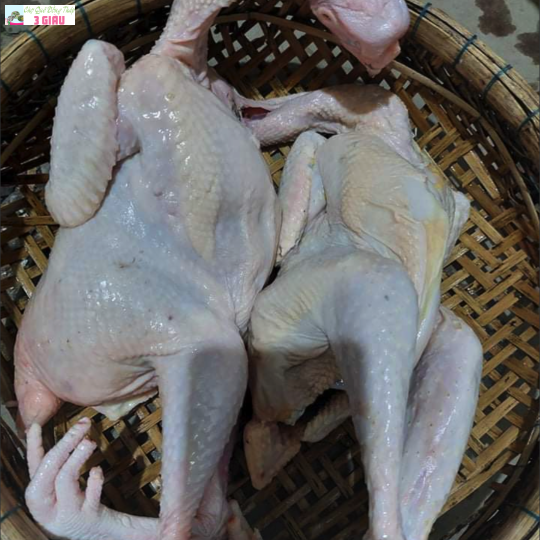 GÀ TA VƯỜN /KG (cân sống)