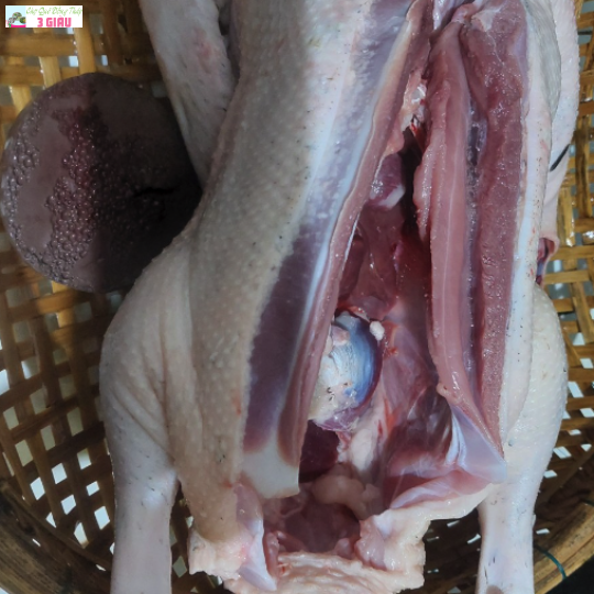 VỊT XIÊM /KG (cân sống)