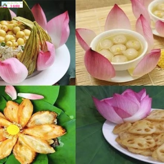 RAU ĐỒNG 4
